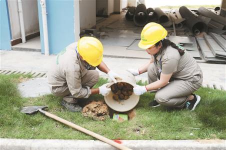 三台县古建筑白蚁预防收费标准