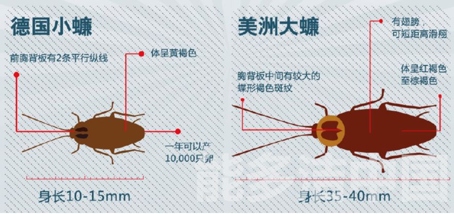 文章附图