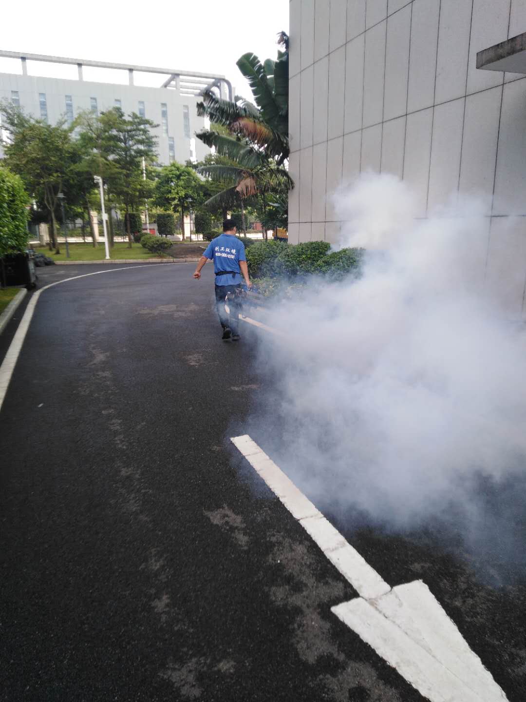 深圳杀虫灭鼠公司规章制度 服务项目